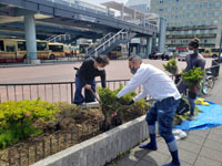 戸塚駅前植栽
